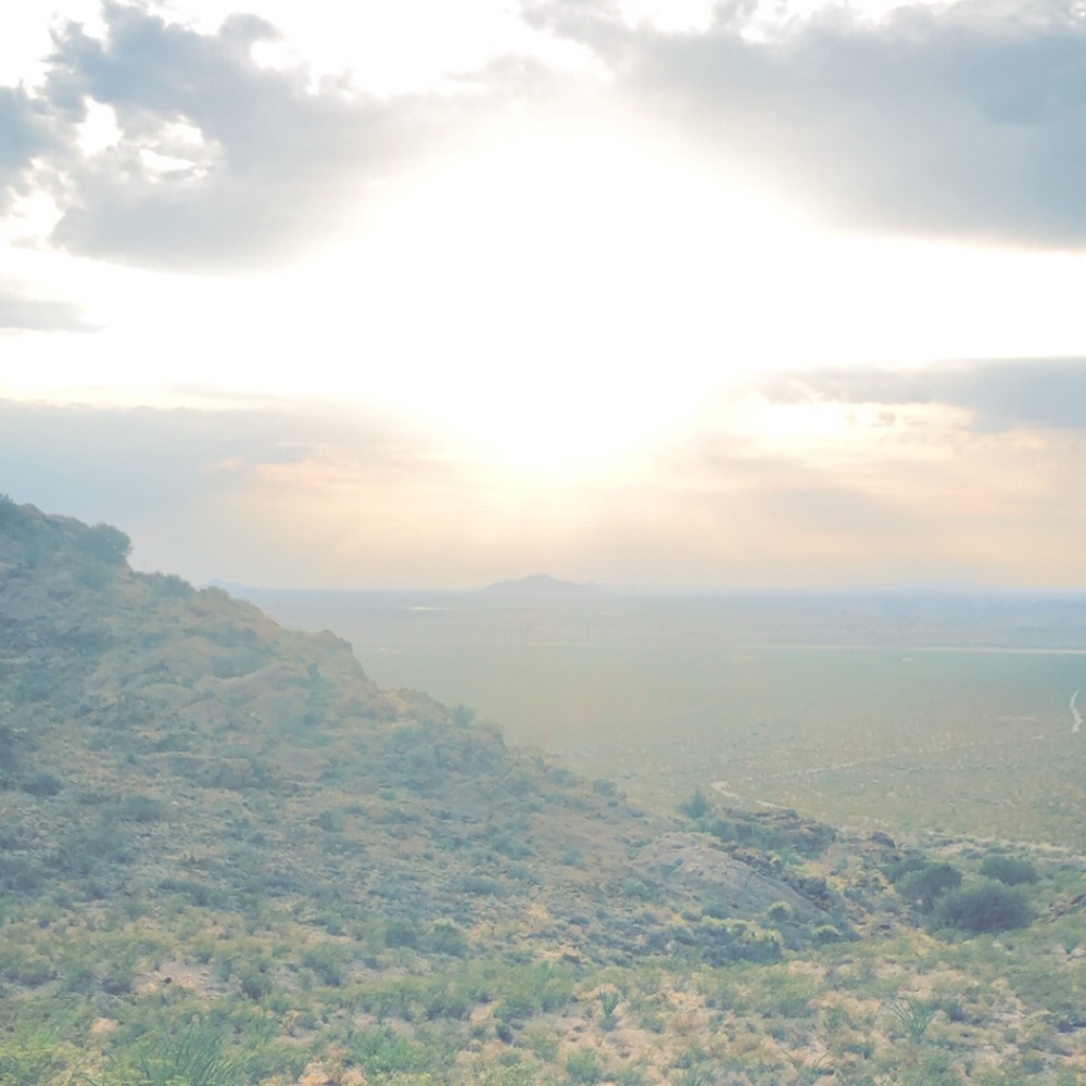 Meet your Posher, Desa